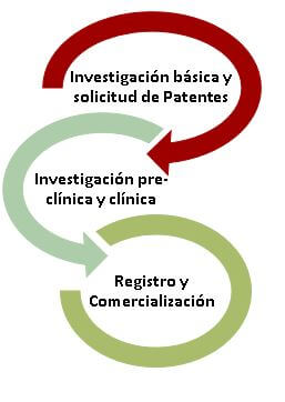 Camino-investigación-clínica-Leon Research